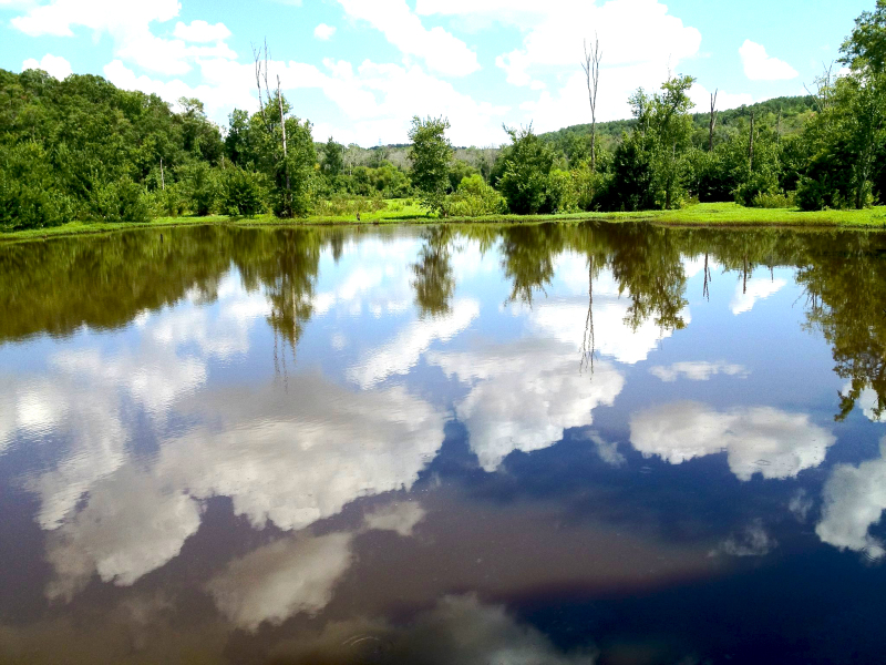 constitution_lake_park